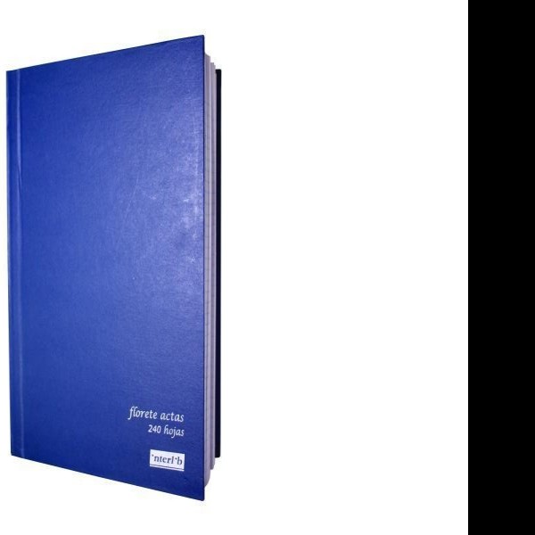 LIBRO FLORETE ACTAS AZUL INTERLIB FF.240H. PZA